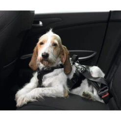 Hunter Auto Hundegeschirr Easy Comfort -Hundefutter Welt Verkaufsgeschäft hunter autosicherheitsgeschirr easy comfort 1467019358
