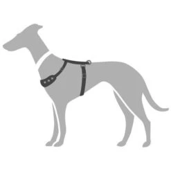 Hunter Auto Hundegeschirr Easy Comfort -Hundefutter Welt Verkaufsgeschäft hunter autosicherheitsgeschirr easy comfort 1596456649