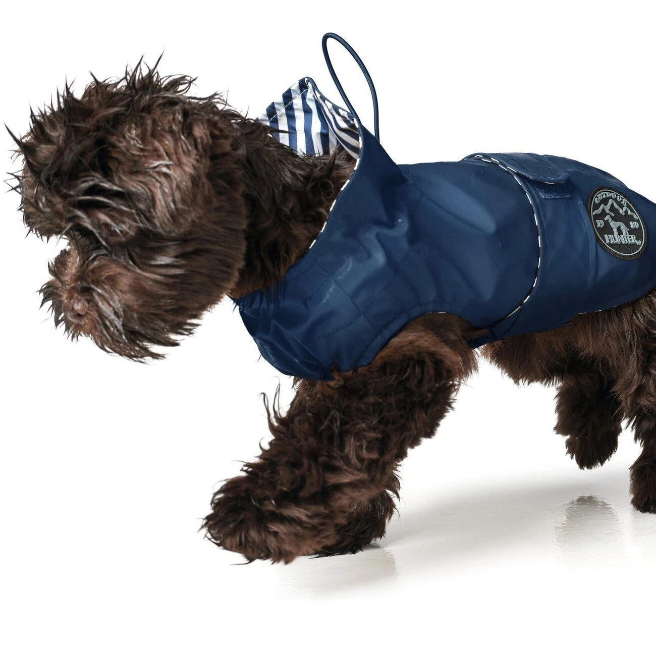 Hunter Hunde Regenmantel Milford 19 Hunter Hunde Regenmantel Milford – Bild 17