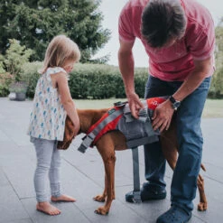 Hunter Hunde Schwimmweste Moss -Hundefutter Welt Verkaufsgeschäft hunter hunde schwimmweste moss 1686557137