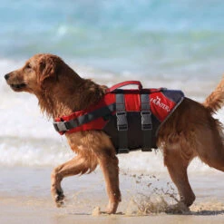 Hunter Hunde Schwimmweste Moss -Hundefutter Welt Verkaufsgeschäft hunter hunde schwimmweste moss 1686557142