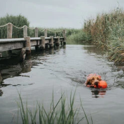 Hunter Hunde Schwimmweste Moss -Hundefutter Welt Verkaufsgeschäft hunter hunde schwimmweste moss 1686557166