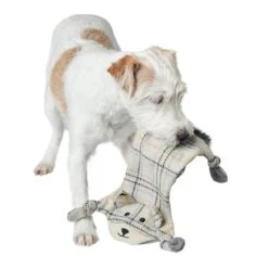 Hunter Hundespielzeug Billund Flach Für Hunde -Hundefutter Welt Verkaufsgeschäft hunter hundespielzeug billund flach fuer hunde 1656591891