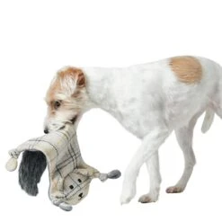 Hunter Hundespielzeug Billund Flach Für Hunde -Hundefutter Welt Verkaufsgeschäft hunter hundespielzeug billund flach fuer hunde 1656591903