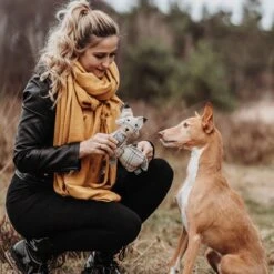 Hunter Hundespielzeug Billund Plüsch -Hundefutter Welt Verkaufsgeschäft hunter hundespielzeug billund pluesch 1656590675