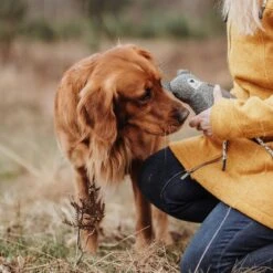 Hunter Hundespielzeug Billund Plüsch -Hundefutter Welt Verkaufsgeschäft hunter hundespielzeug billund pluesch 1656590710
