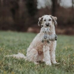 Hunter Hundespielzeug Billund Plüsch -Hundefutter Welt Verkaufsgeschäft hunter hundespielzeug billund pluesch 1656590726