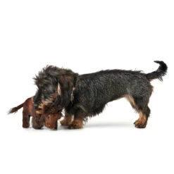 Hunter Hundespielzeug Tough Kamerun Stofftier -Hundefutter Welt Verkaufsgeschäft hunter hundespielzeug tough kamerun 1531225204