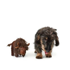 Hunter Hundespielzeug Tough Kamerun Stofftier -Hundefutter Welt Verkaufsgeschäft hunter hundespielzeug tough kamerun 1531225231