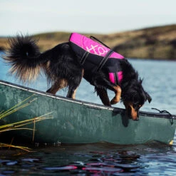 HURTTA Lifeguard Rettungsweste Schwimmweste Für Hunde -Hundefutter Welt Verkaufsgeschäft hurtta lifeguard rettungsweste schwimmweste fuer hunde 1429733170