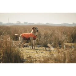 HURTTA Swimmer Weste Neopren -Hundefutter Welt Verkaufsgeschäft hurtta swimmer weste neopren 1602232324