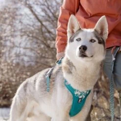 HURTTA Weekend Warrior Hundegeschirr -Hundefutter Welt Verkaufsgeschäft hurtta weekend warrior hundegeschirr 1661256158