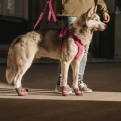 HURTTA Weekend Warrior Hundegeschirr -Hundefutter Welt Verkaufsgeschäft hurtta weekend warrior hundegeschirr 1661256237