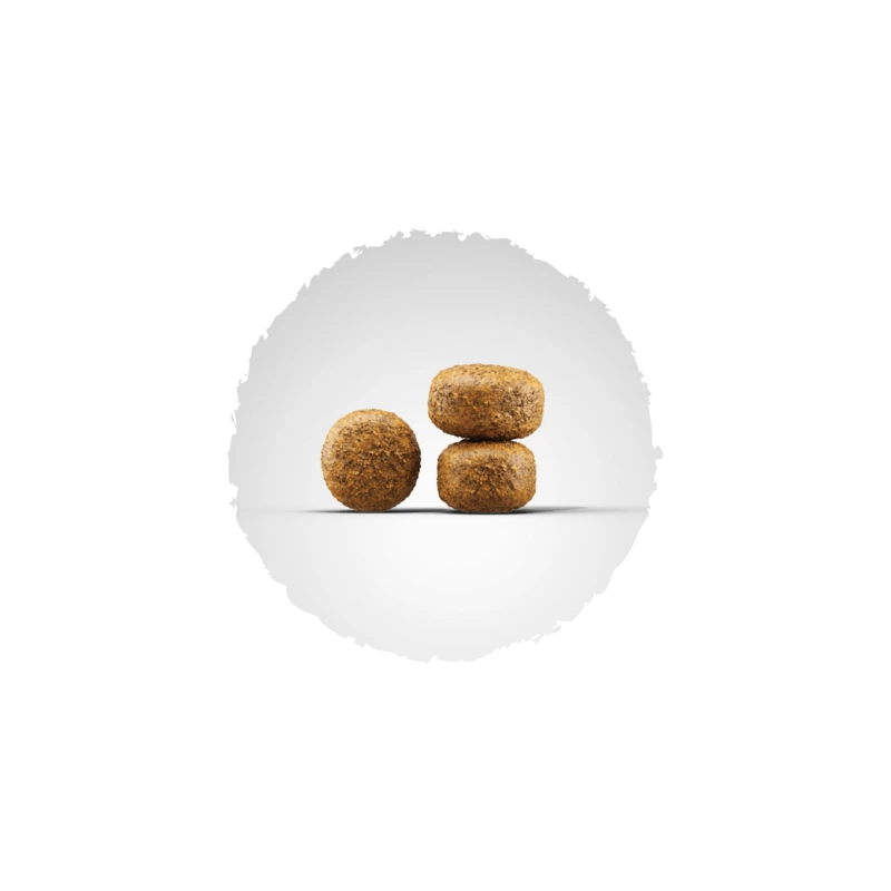 Josera Balance Hundefutter 4 Josera Balance Hundefutter – Bild 2