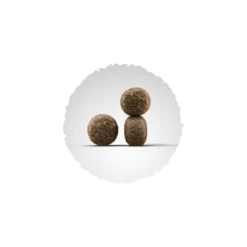 Josera High Energy Hundefutter -Hundefutter Welt Verkaufsgeschäft josera high energy hundefutter 1445954369