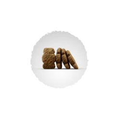 Josera Kids Welpenfutter -Hundefutter Welt Verkaufsgeschäft josera kids welpenfutter 1445954268