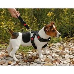 Karlie Autosicherheitsgeschirr 12 Karlie Autosicherheitsgeschirr -Hundefutter Welt Verkaufsgeschäft karlie autosicherheitsgeschirr 1606157898