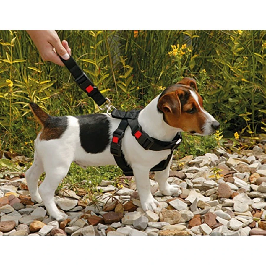 Karlie Autosicherheitsgeschirr 7 Karlie Autosicherheitsgeschirr – Bild 5