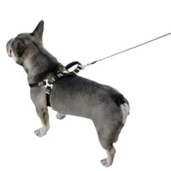 Kerbl Auto Sicherheitsgeschrirr Für Hunde -Hundefutter Welt Verkaufsgeschäft kerbl auto sicherheitsgeschrirr fuer hunde 1623759135