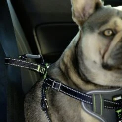 Kerbl Auto Sicherheitsgeschrirr Für Hunde -Hundefutter Welt Verkaufsgeschäft kerbl auto sicherheitsgeschrirr fuer hunde 1623759137