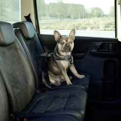 Kerbl Auto Sicherheitsgeschrirr Für Hunde -Hundefutter Welt Verkaufsgeschäft kerbl auto sicherheitsgeschrirr fuer hunde 1623759139