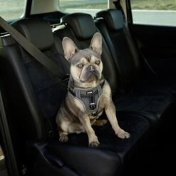 Kerbl Auto Sicherheitsgeschrirr Für Hunde -Hundefutter Welt Verkaufsgeschäft kerbl auto sicherheitsgeschrirr fuer hunde 1623759144