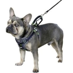 Kerbl Auto Sicherheitsgeschrirr Für Hunde -Hundefutter Welt Verkaufsgeschäft kerbl auto sicherheitsgeschrirr fuer hunde 1623759147