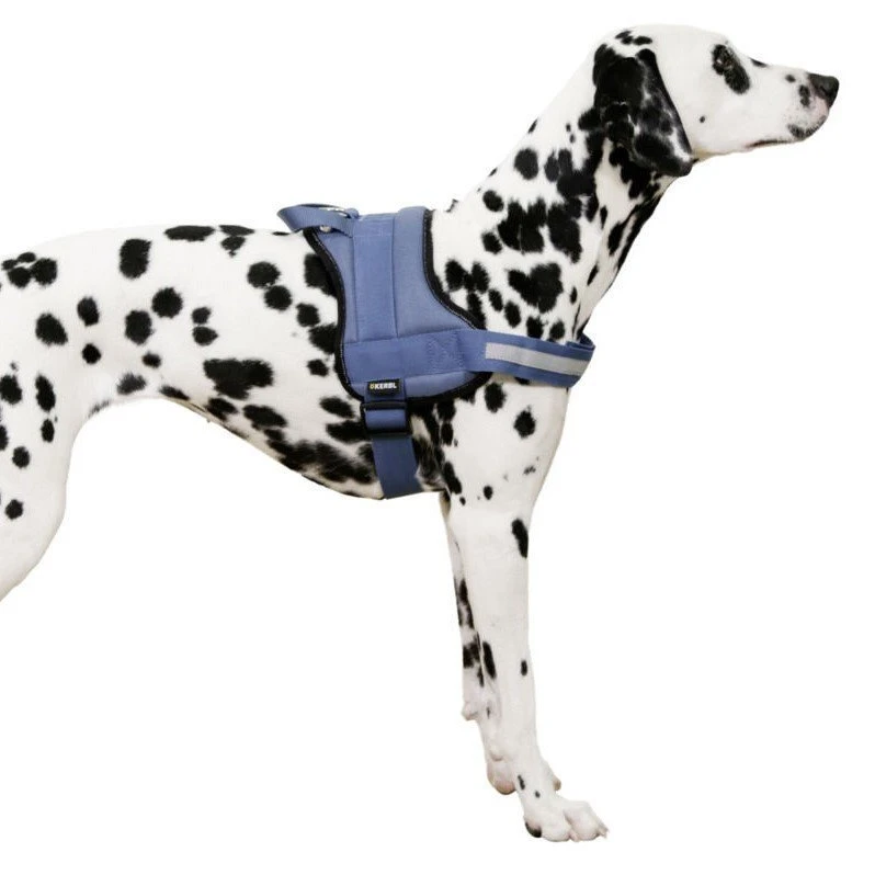 Kerbl Hundegeschirr Maestro 5 Kerbl Hundegeschirr Maestro – Bild 3