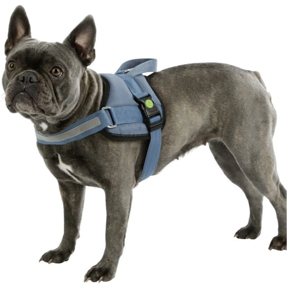 Kerbl Hundegeschirr Maestro 6 Kerbl Hundegeschirr Maestro – Bild 4