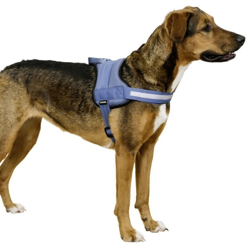 Kerbl Hundegeschirr Maestro 7 Kerbl Hundegeschirr Maestro – Bild 5
