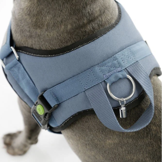 Kerbl Hundegeschirr Maestro 8 Kerbl Hundegeschirr Maestro – Bild 6