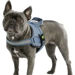 Kerbl Hundegeschirr Maestro 21 Kerbl Hundegeschirr Maestro -Hundefutter Welt Verkaufsgeschäft kerbl hundegeschirr maestro 1623925334