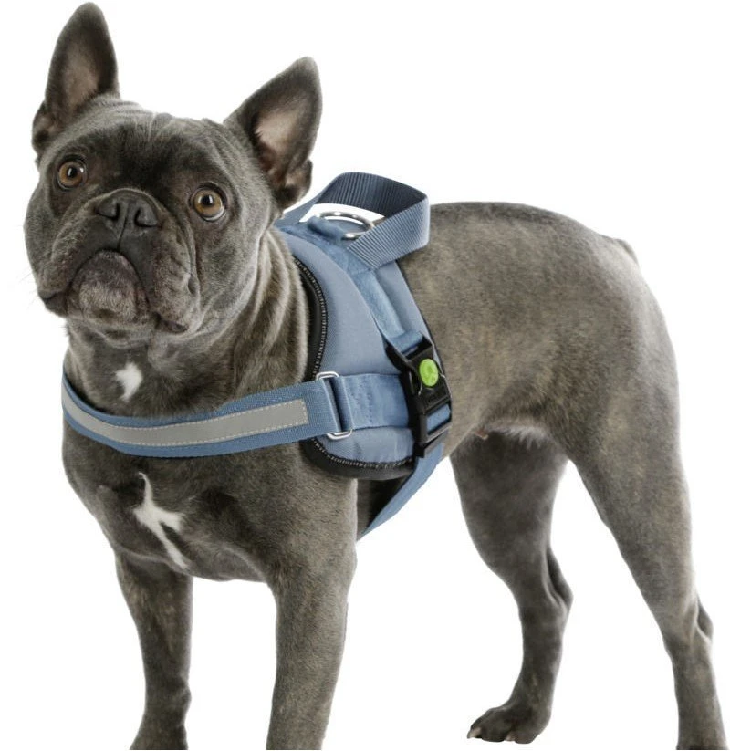 Kerbl Hundegeschirr Maestro 12 Kerbl Hundegeschirr Maestro – Bild 10