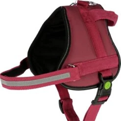 Kerbl Hundegeschirr Maestro