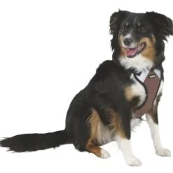 Kerbl Hundegeschirr Pulsive -Hundefutter Welt Verkaufsgeschäft kerbl hundegeschirr pulsive 1623929553