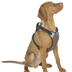 Kerbl Hundegeschirr Pulsive -Hundefutter Welt Verkaufsgeschäft kerbl hundegeschirr pulsive 1623929555