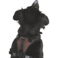 Kerbl Hundegeschirr Pulsive -Hundefutter Welt Verkaufsgeschäft kerbl hundegeschirr pulsive 1623929556