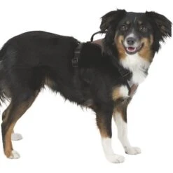 Kerbl Hundegeschirr Pulsive -Hundefutter Welt Verkaufsgeschäft kerbl hundegeschirr pulsive 1623929563