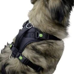 Kerbl Hundegeschirr Pulsive -Hundefutter Welt Verkaufsgeschäft kerbl hundegeschirr pulsive 1623929565