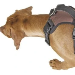 Kerbl Hundegeschirr Pulsive -Hundefutter Welt Verkaufsgeschäft kerbl hundegeschirr pulsive 1623929567