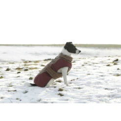 Kerbl Hundemantel Royal Pets -Hundefutter Welt Verkaufsgeschäft kerbl hundemantel royal pets 1539771144