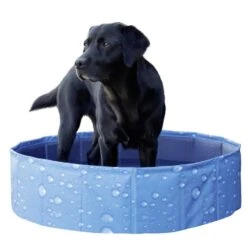 Kerbl Hundepool Bubble -Hundefutter Welt Verkaufsgeschäft kerbl hundepool bubble 1623931635