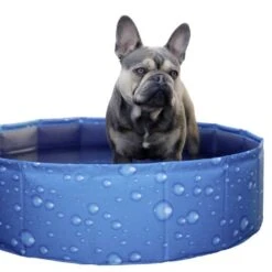 Kerbl Hundepool Bubble -Hundefutter Welt Verkaufsgeschäft kerbl hundepool bubble 1623931639