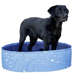 Kerbl Hundepool Bubble -Hundefutter Welt Verkaufsgeschäft kerbl hundepool bubble 1623931642