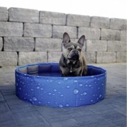 Kerbl Hundepool Bubble -Hundefutter Welt Verkaufsgeschäft kerbl hundepool bubble 1623931644