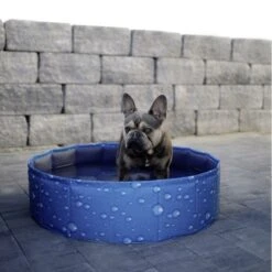 Kerbl Hundepool Bubble -Hundefutter Welt Verkaufsgeschäft kerbl hundepool bubble 1623931646