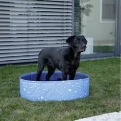 Kerbl Hundepool Bubble -Hundefutter Welt Verkaufsgeschäft kerbl hundepool bubble 1623931648