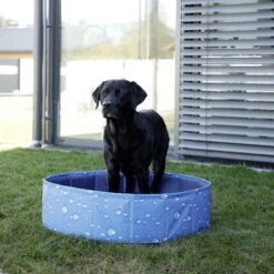 Kerbl Hundepool Bubble -Hundefutter Welt Verkaufsgeschäft kerbl hundepool bubble 1623931650