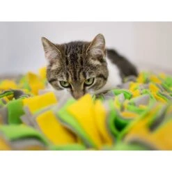 Kerbl Schnüffelteppich Für Hunde -Hundefutter Welt Verkaufsgeschäft kerbl schnueffelteppich fuer hunde 1588853002