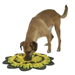 Kerbl Schnüffelteppich Sunflower -Hundefutter Welt Verkaufsgeschäft kerbl schnueffelteppich sunflower 1594466171